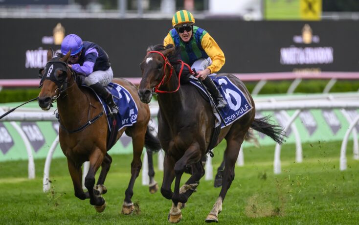 小胜凸显冷 小胜凸显冷