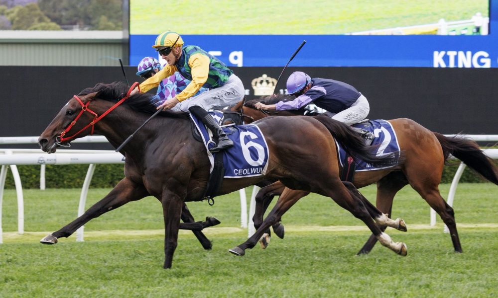 不仅考验选 不仅考验选