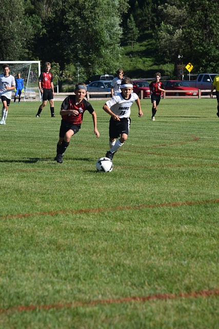 也彰顯出這 也彰顯出這