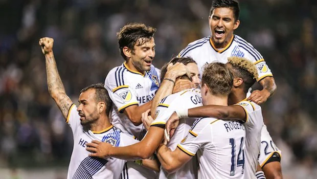 未来展望 未来展望